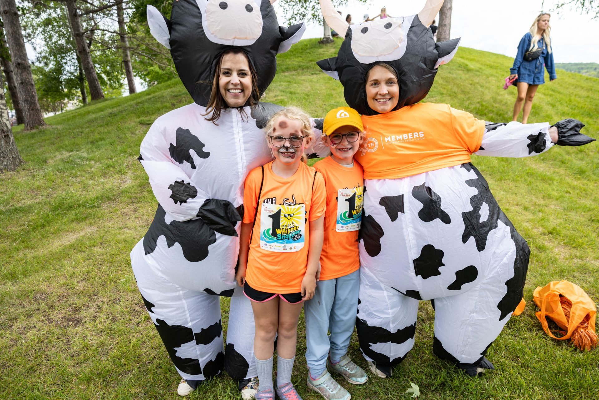 Inflatable cows at Grandma's Marathon. 